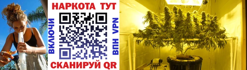 Где продают наркотики Кохма Гашиш Каннабис COCAIN Мефедрон