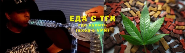хмурый Алзамай