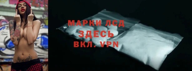 хмурый Алзамай