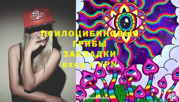 тгк Абинск