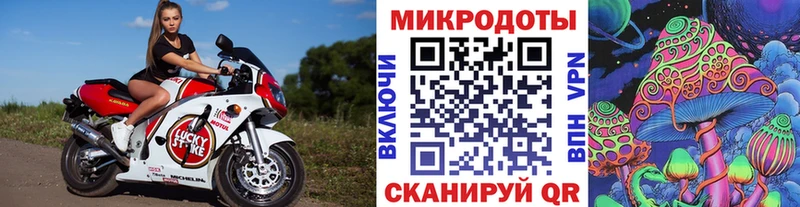 Псилоцибиновые грибы мухоморы купить наркоту Кохма